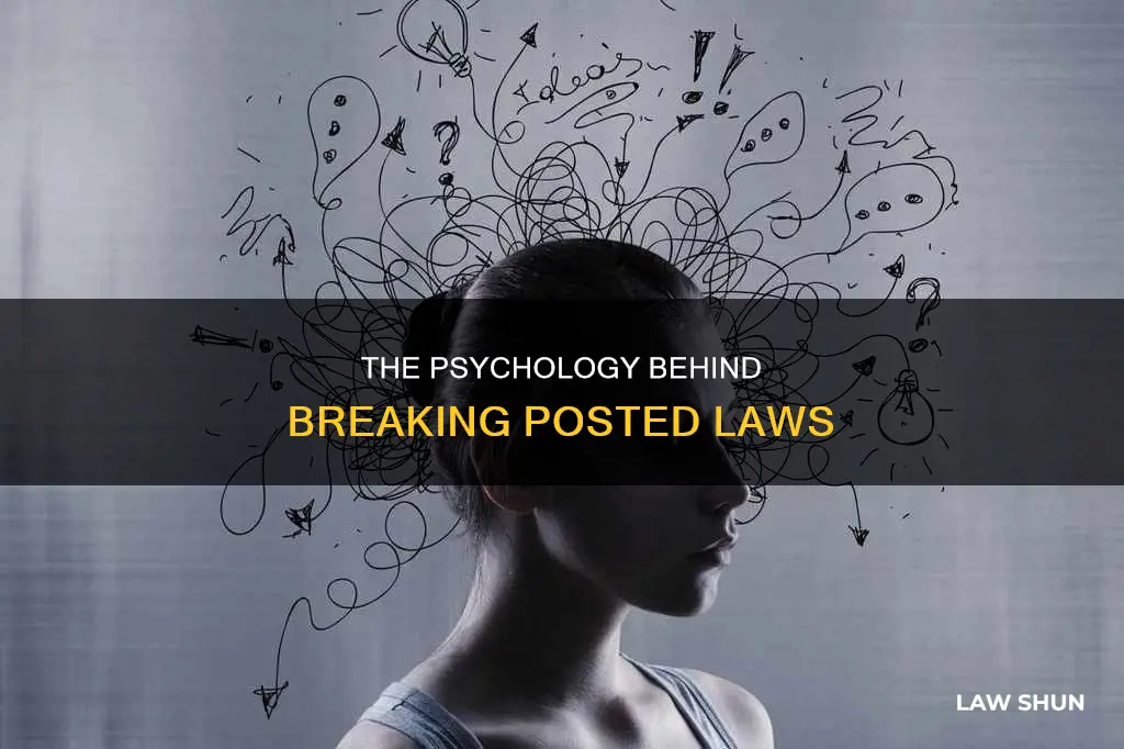 why do oeople break posted laws