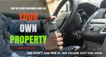 Open Container Laws at Home: Understanding Private Property Restrictions