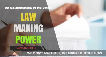 Why Parliaments Delegate Law-Making Power: Efficiency, Expertise, and Governance