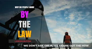 Understanding Law Compliance: Why Do People Abide by the Law?
