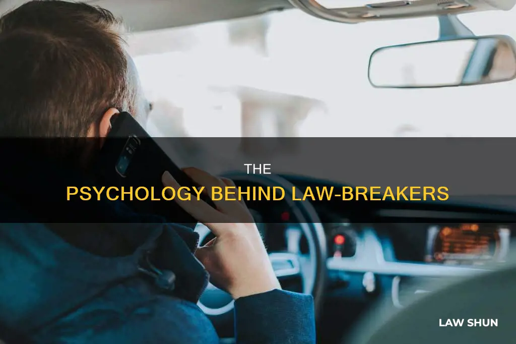 why do people break the law essay