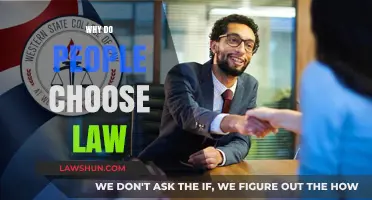 Why Pursue a Career in Law? Motivations and Aspirations Explored