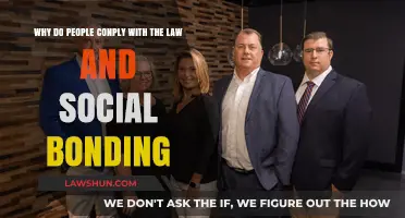 Social Bonds and Legal Compliance: Understanding the Psychology Behind Obedience