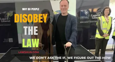 Understanding the Psychology Behind Why People Break the Law