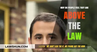 Above the Law: Understanding the Psychology of Entitlement and Defiance