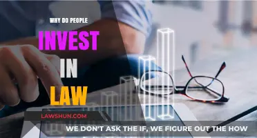 Investing in Law: Understanding the Appeal and Long-Term Benefits
