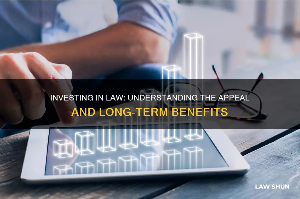 why do people invest in law