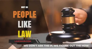 Exploring the Appeal: Why Do People Like Law?