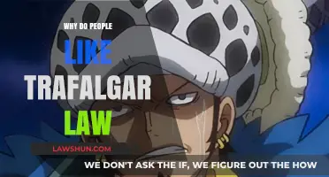 Why Fans Adore Trafalgar Law: Charisma, Strength, and Loyalty Explained