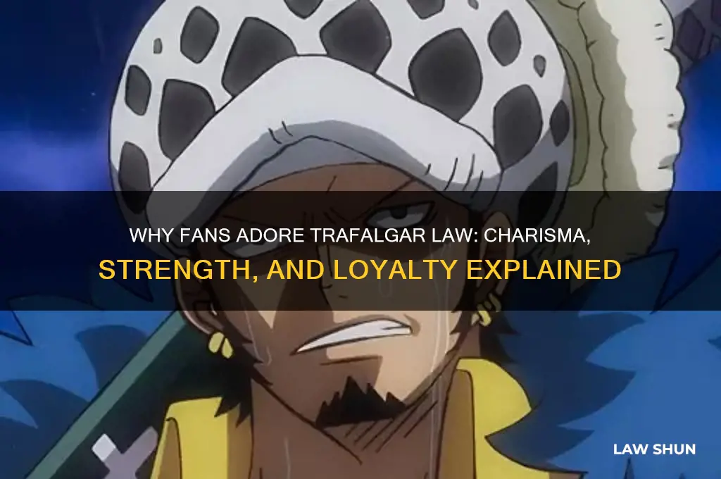 why do people like trafalgar law