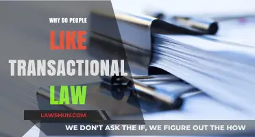 Why Transactional Law Appeals: Clarity, Impact, and Career Stability Explained