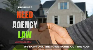 Understanding Agency Law: Empowering Relationships and Protecting Interests