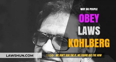 Understanding Law Obedience: Kohlberg's Moral Development Theory Explained