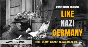 Understanding Blind Obedience: Lessons from Nazi Germany's Legal Compliance