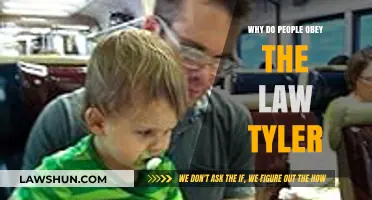 Why People Obey the Law: Insights from Tyler's Theory