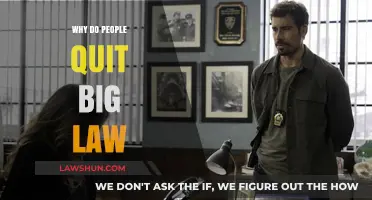 Why Do People Quit Big Law: Unraveling the Exit Phenomenon