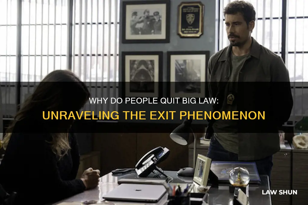 why do people quit big law