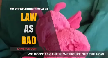 Draconian Laws: Why Harsh Measures Earn a Negative Reputation