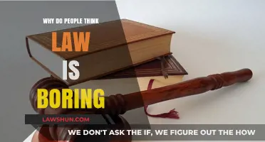 Why Law Isn't Boring: Debunking the Myth of a Dull Profession