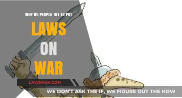 Why Do People Attempt to Impose Legal Constraints on War?