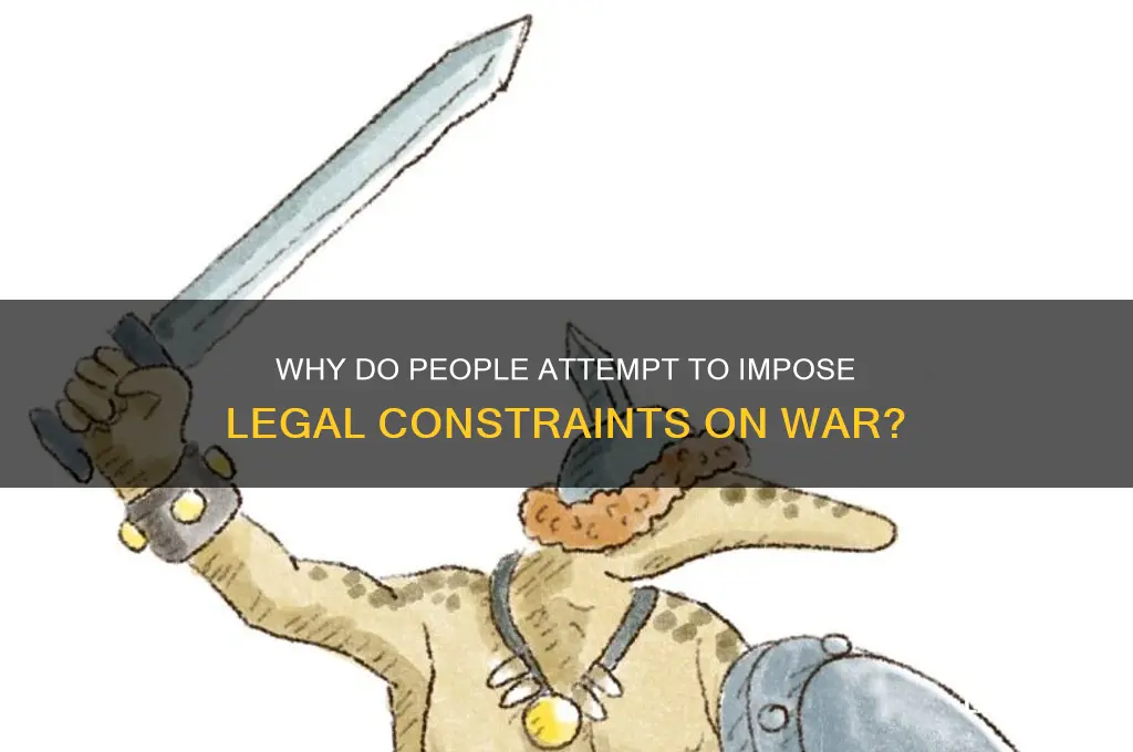 why do people try to put laws on war