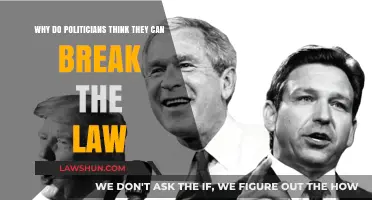 Politicians' Entitlement: Breaking Laws, Shattering Trust