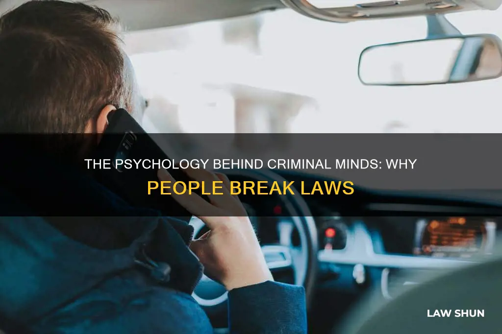 why do poople break the law