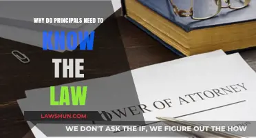 Why Principals Must Understand Legal Responsibilities for Effective School Leadership