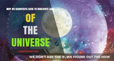 Unveiling Cosmic Order: Why Scientists Pursue Universal Laws