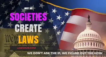 The Evolution of Laws: Society's Guiding Force