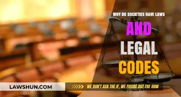 The Role of Laws: Foundations of Order and Justice in Societies