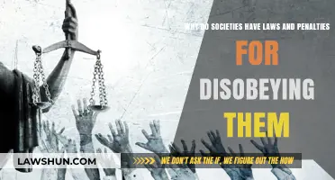 Understanding the Purpose of Laws and Penalties in Society