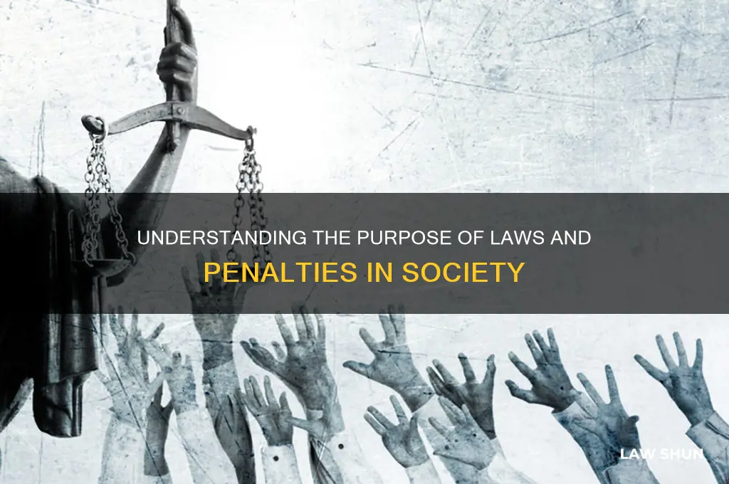 why do societies have laws and penalties for disobeying them