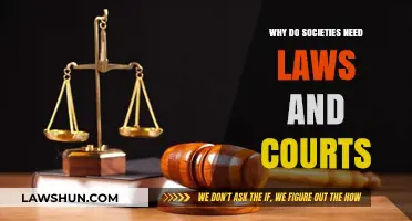 Why Societies Rely on Laws and Courts for Order and Justice