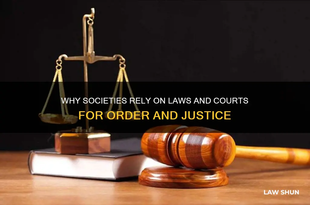 why do societies need laws and courts
