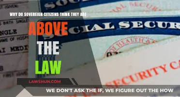 Sovereign Citizens' Beliefs: Unraveling Their Claim to Be Above the Law
