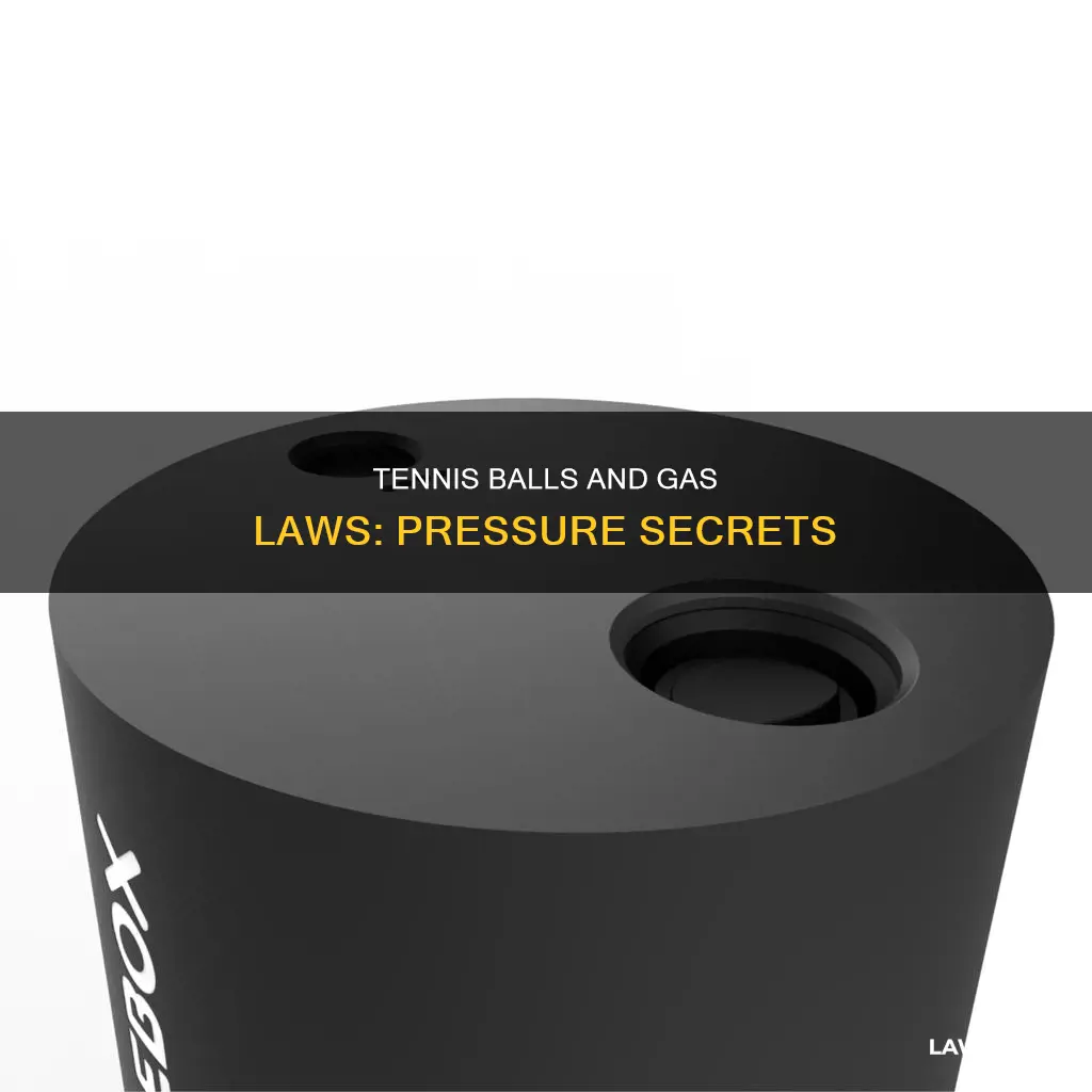 why do tennis balls come in pressurized cans gas laws