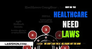 Why Healthcare Needs Laws: Protecting Patients, Professionals, and Practices