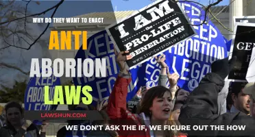 Understanding the Push for Anti-Abortion Legislation: Motives and Implications