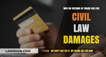 Why Fraud Victims Pursue Civil Lawsuits for Financial Recovery