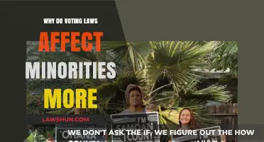Voting Laws and Their Disproportionate Impact on Minority Communities