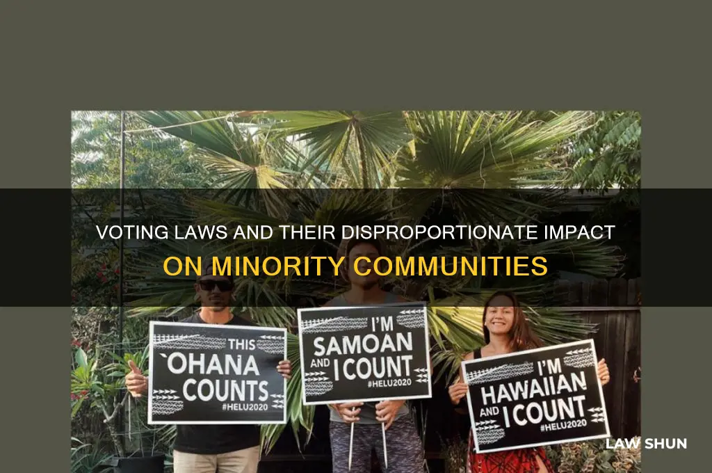 why do voting laws affect minorities more