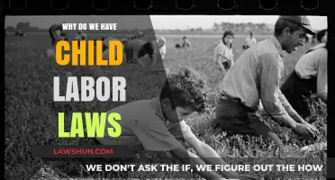 Protecting Childhood: The Crucial Role of Child Labor Laws Explained