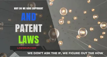 Protecting Innovation: The Essential Role of Copyright and Patent Laws