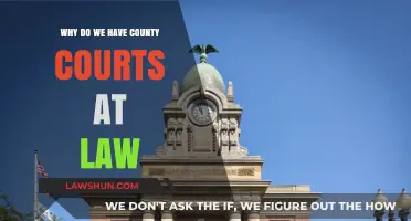 Understanding the Role and Importance of County Courts at Law