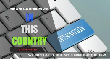 Understanding Defamation Laws: Protecting Reputation and Free Speech in Society