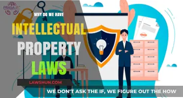 Protecting Innovation: The Crucial Role of Intellectual Property Laws