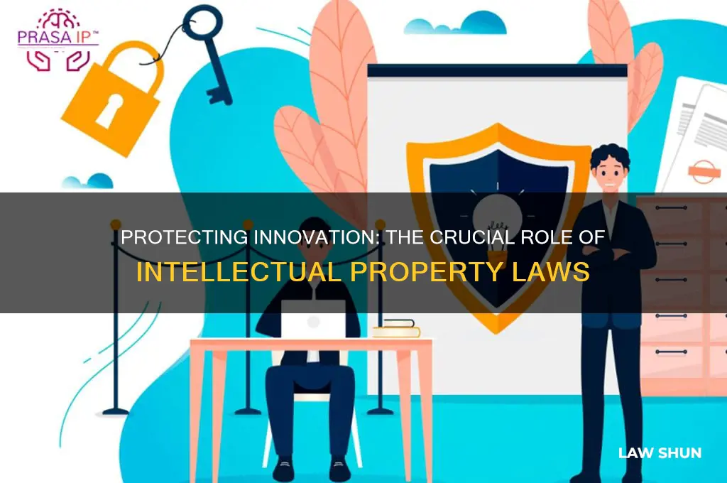 why do we have intellectual property laws