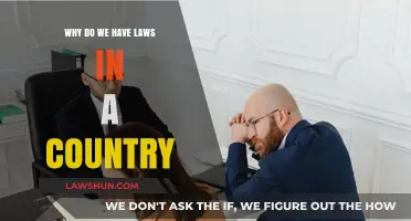 Understanding the Purpose and Importance of Laws in Society