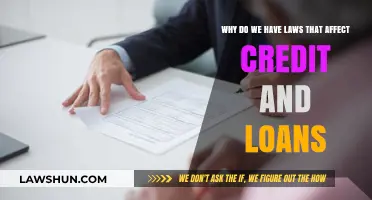 Understanding Credit and Loan Laws: Their Purpose and Impact on Borrowers